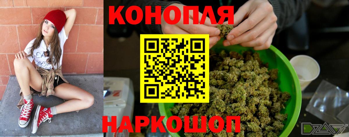 Шишки марихуана план  Вход с VPN  Бошки марихуана ГИДРОПОН  Марихуана OG Kush  Клинцы 